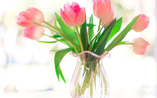 Все звёзды для любимой