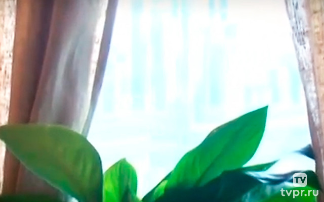 Евгений Стеблов. Признания стеснительного человека