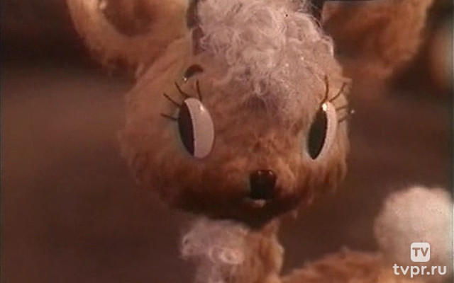 Бобры идут по следу