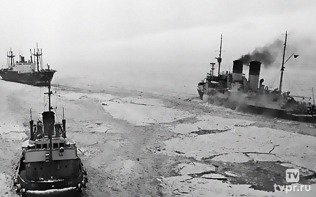 Оборона Диксона