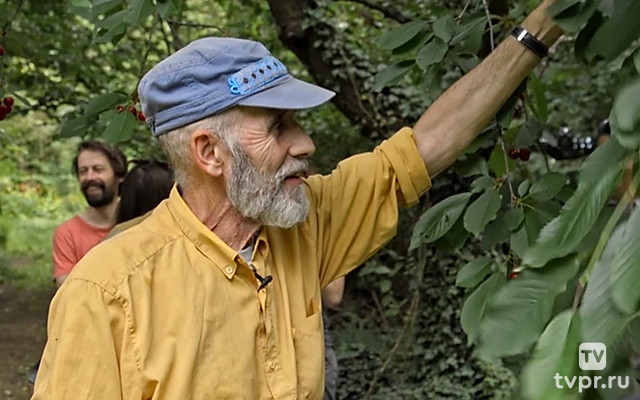 Дикий сад Жана Луи