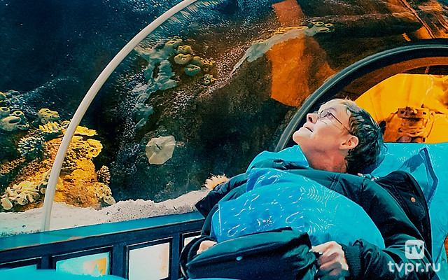 Последнее желание