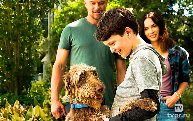 Думай как собака