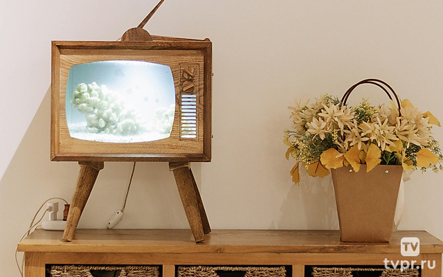 «Войскам национальной гвардии - 10 лет!» Праздничный концерт в Кремле