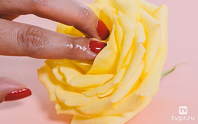 Девушка по соседству 3