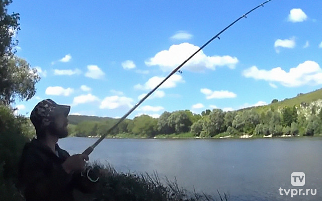 Фидер и ничего лишнего