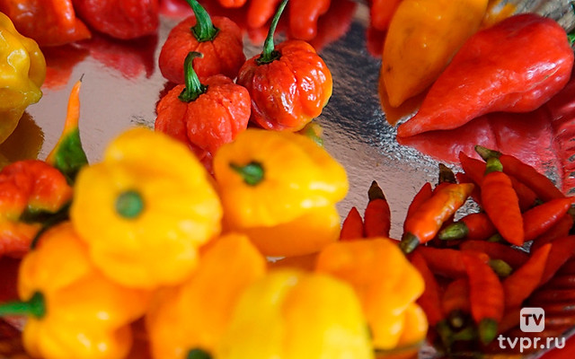 Охотник за чили