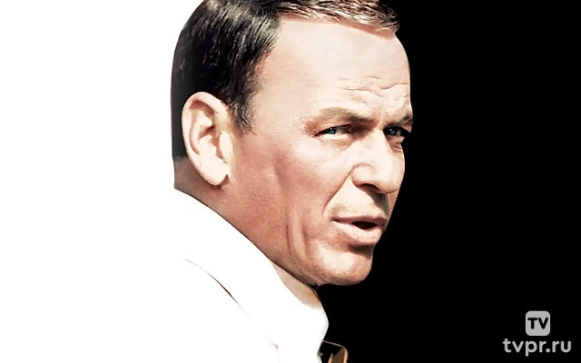 Леди в цементе