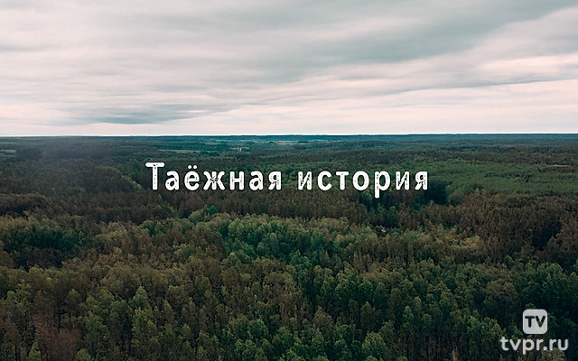 Таёжная история