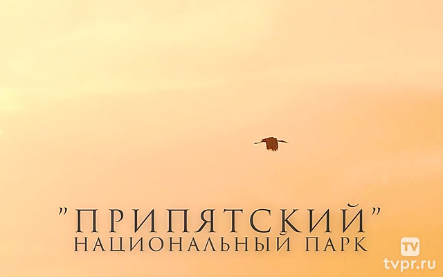 Национальный парк «Припятский»