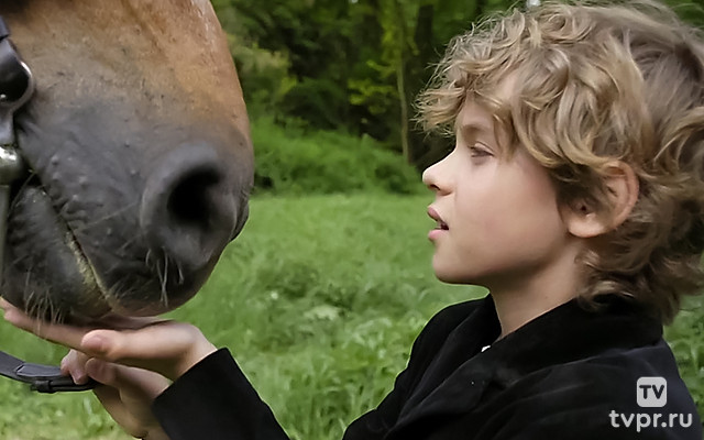 Обещанная принцесса