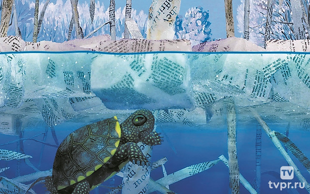 Здравствуй, Мир!