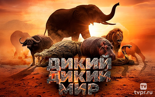 Дикий, дикий миp