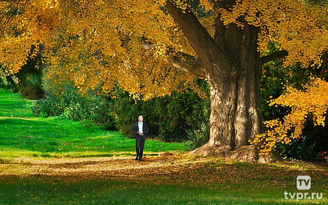 Молчаливый друг