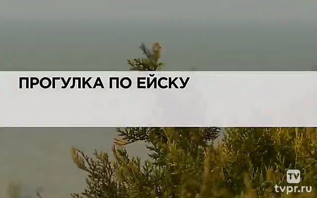 Прогулка по Ейску