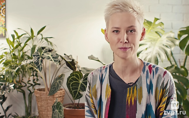 Мир комнатных растений