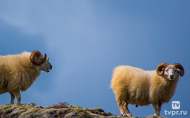 Заповедники Российской Федерации