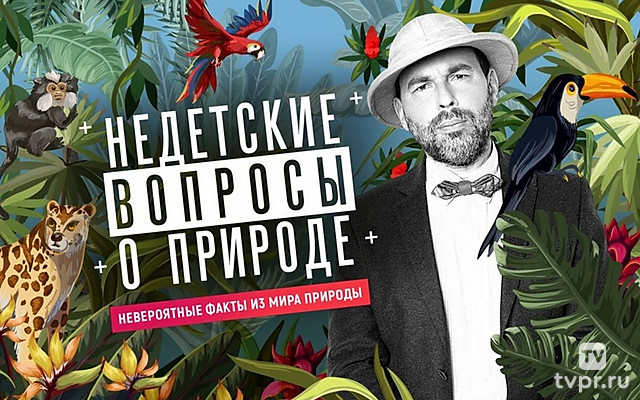 Недетские вопросы