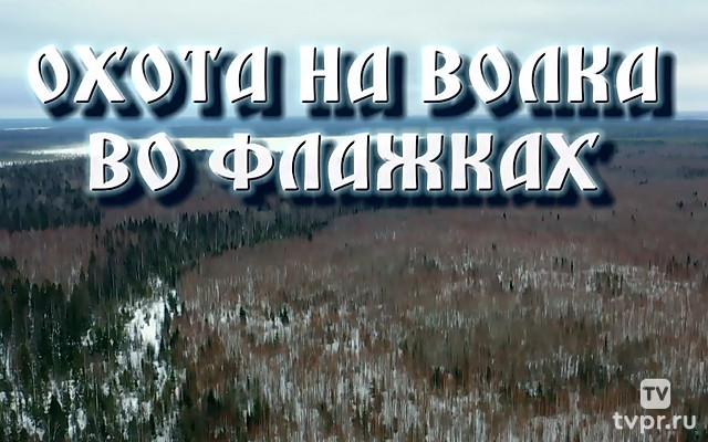 Охота на волка во флажках