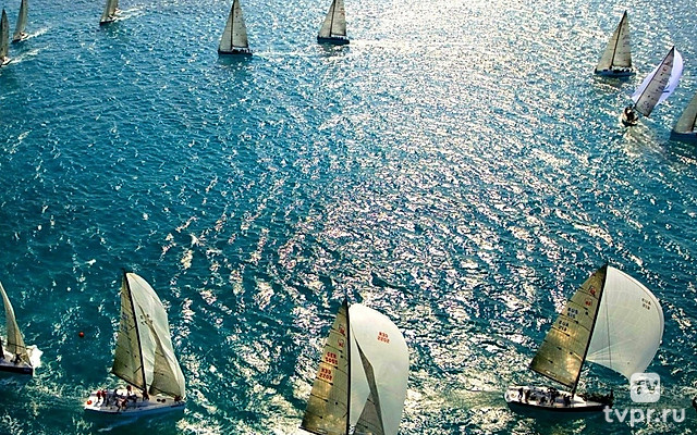 Парусный спорт. Vendée Arctique 2026