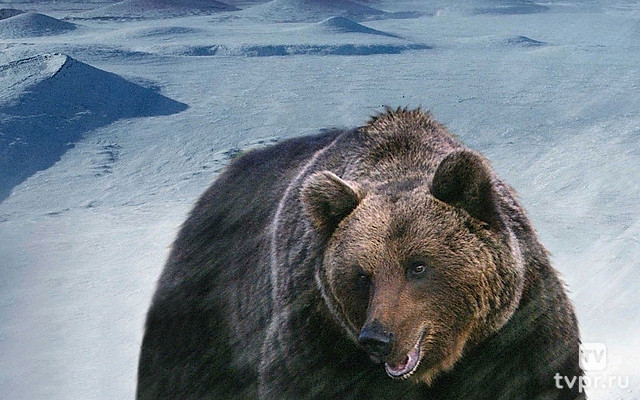 Россия от края до края