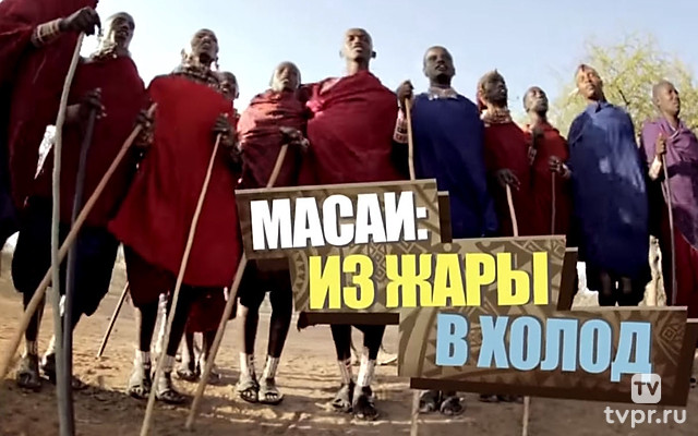 Масаи: Из жары в холод