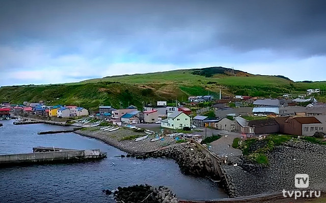 Искусство собирать водоросли