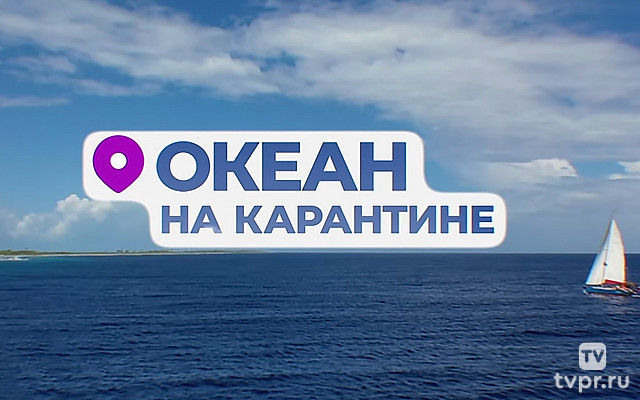 Океан на карантине