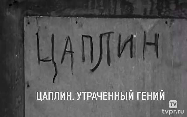 Дмитрий Цаплин. Утраченный гений