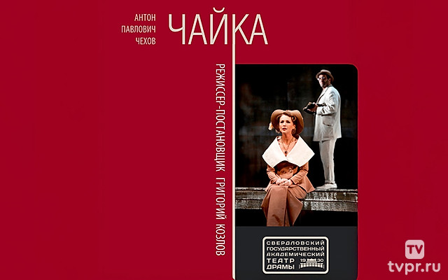 Чайка