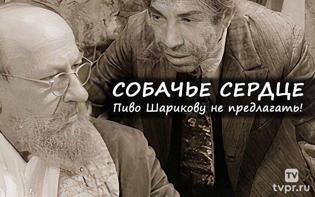 Собачье сердце. Пиво Шарикову не предлагать!