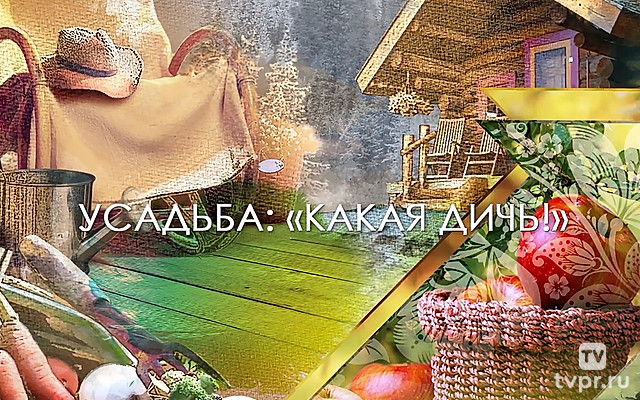Какая дичь!