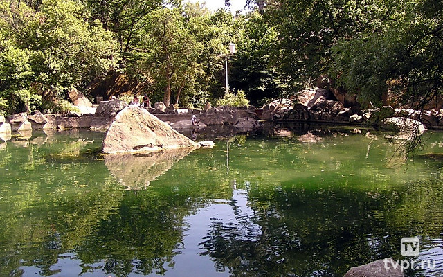 Пруды Алупкинского парка