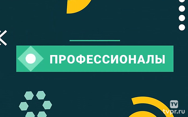 Профессионалы