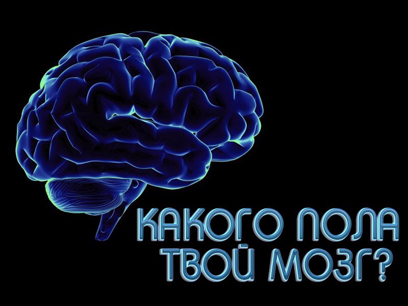 Paul brain. На это твое мозг.