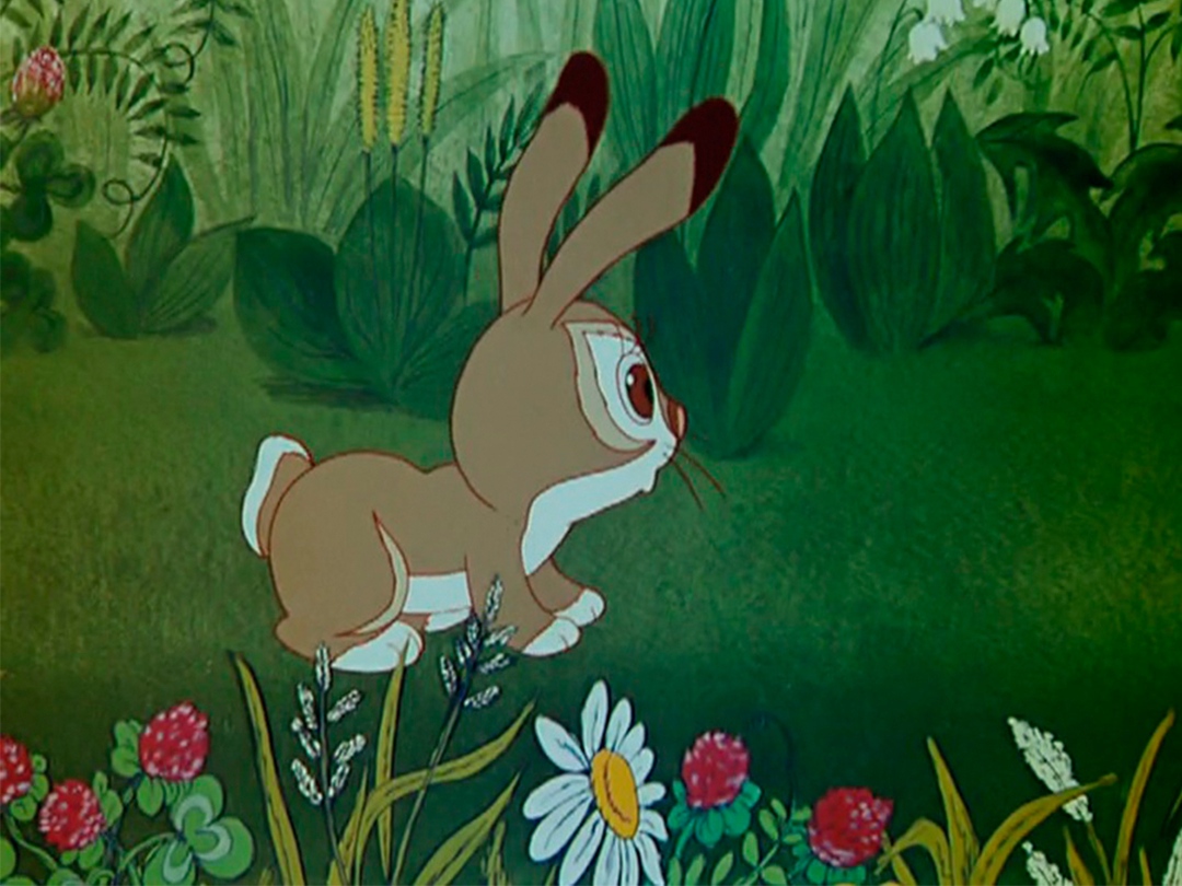 Зайчик погулять вдруг охотник выбегает. Заяц из мультфильма. Сказочный зайчик. Сказка про зайчика.