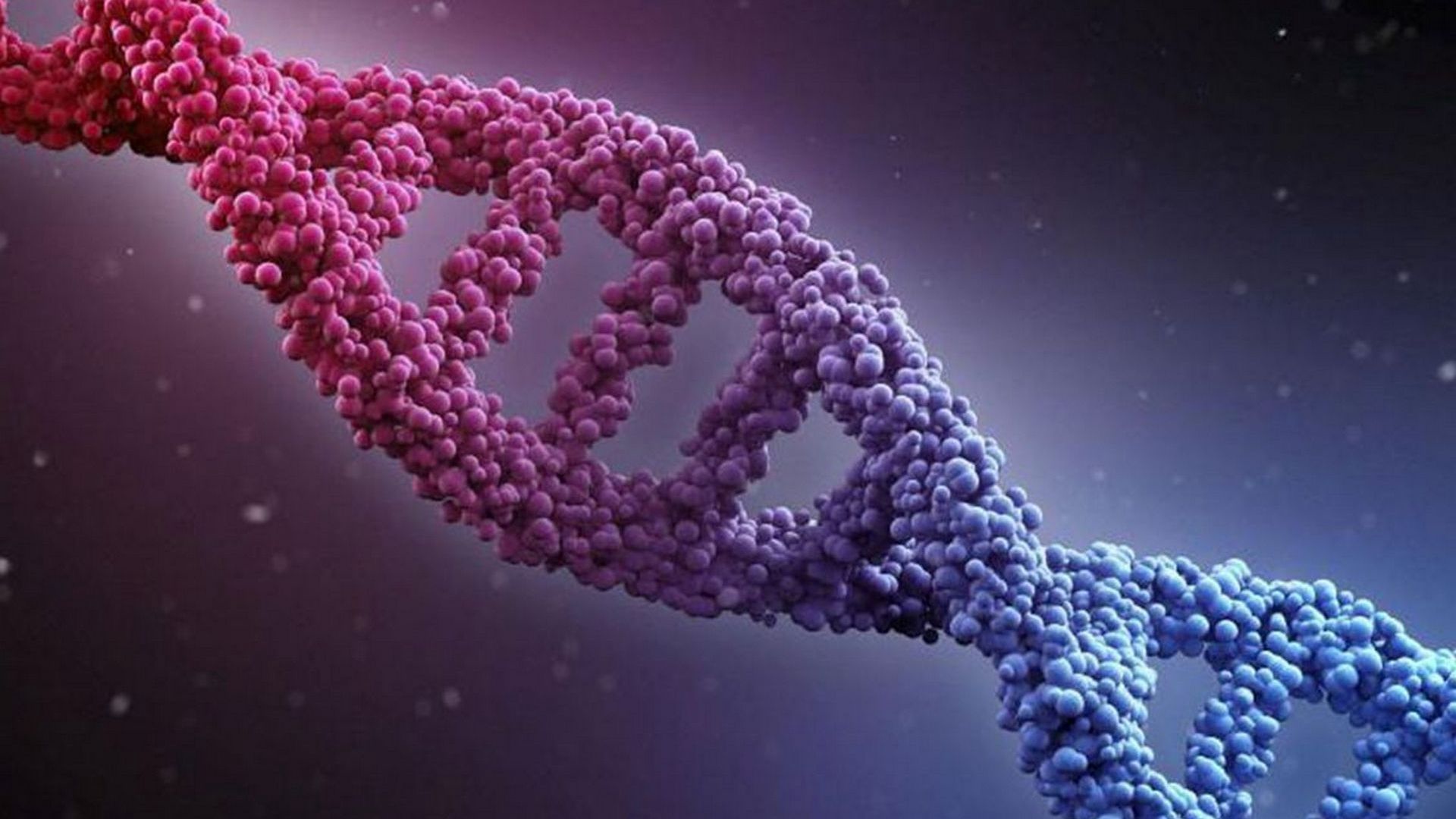 Изменение генома клетки. Геномная ДНК. ДНК DNA. Ген геном генетика. ДНК ген геном генотип.