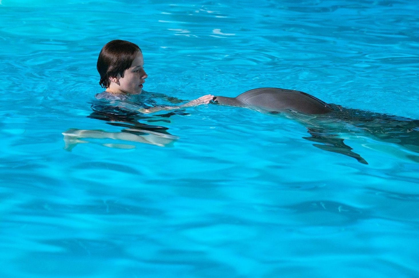 Дельфин 2 группа
