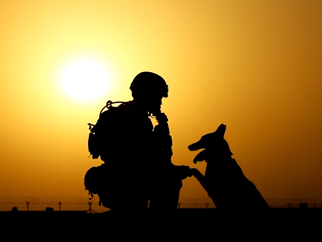 Солдат с собакой на закате