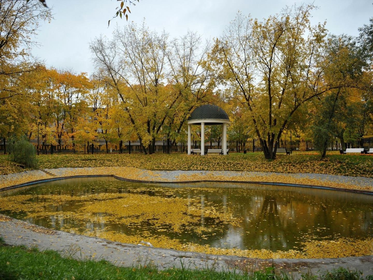 Парк десеновское
