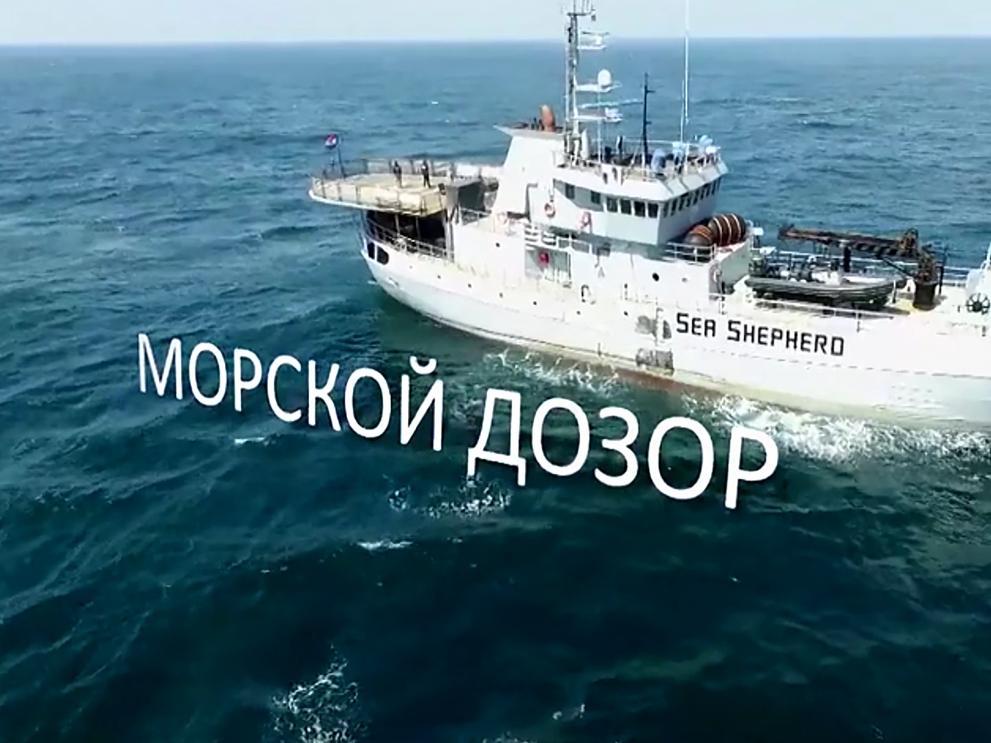 Дозоры 2023. Морской дозор. Картинка морского Дозора. Генералы морского Дозора.